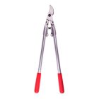 Sekator Felco 210A-60 z zakrzywioną głowicą
